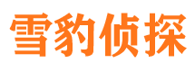 闻喜外遇调查取证